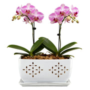 Sanmudecor front view showing white ceramic and elegant design benefit: complements decor