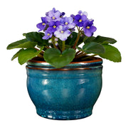 Sanmudecor teal pot front view showing elegant design and space-saving benefit