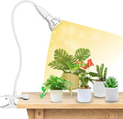 SANSI clip-on front view showing lamp and clip for versatile mounting