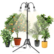 SANSI front view assembled grow light showing stable tripod and four bulbs for even coverage