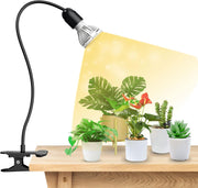 SANSI front view of full fixture showing stable mount and bright coverage