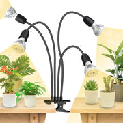 SANSI front view with bulbs showing adjustable heads and bright coverage benefit