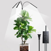 SANSI grow light full front view showing stable stand and lamp, for steady indoor illumination