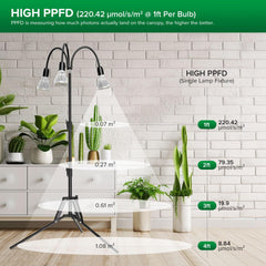 SANSI height adjustment scale illustrating 35–64 inch flexibility for plants