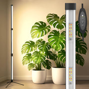 SANSI T10 front view showing tall vertical lamp and even light distribution