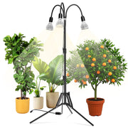 SANSI tripod front view showing stable stand and three bulbs for strong coverage