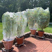 SATXTREM front packaging showing 4-pack netting protecting plants