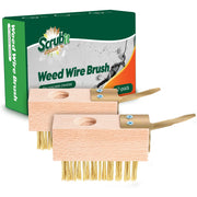 SCRUBIT front packaging and two brush heads showing kit benefits