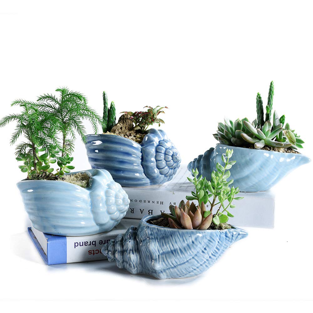 SE SUN-E front view of four shell planters showing coastal charm and display versatility