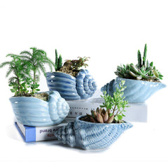 SE SUN-E front view of four shell planters showing coastal charm and display versatility