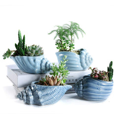 SE SUN-E side profile highlighting detailed conch shell texture and sculptural appeal