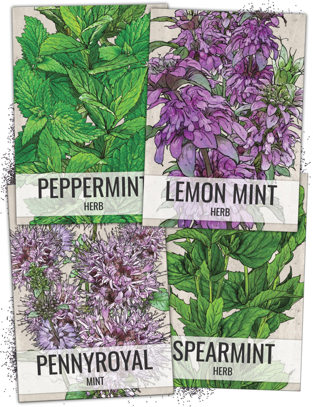Seed Needs front view of four illustrated mint seed packets showing variety and freshness