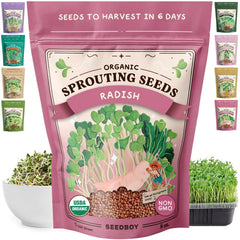 Seedboy front packaging showing organic daikon radish seeds and instructions benefit quick start