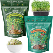 Seedboy front packaging showing Everyday Pack and labels, clear ingredient view and convenience