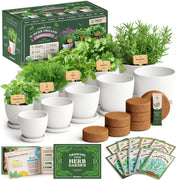 Seedboy front packaging showing kit contents and organic badge for quick setup benefit