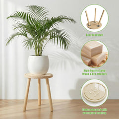 SEQUEDA plant stand holding a large fiddle leaf fig demonstrating secure elevated display
