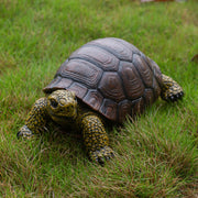 SHAODIE turtle front view showing lifelike pose and decoration benefit