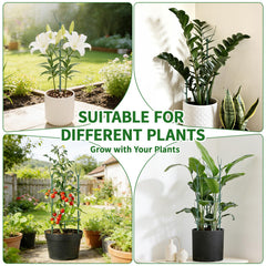 SHAOKAOLU assembled support ring holding a monstera stem upright and tidy