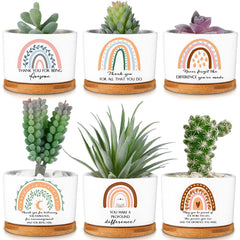 Sieral ceramic pot set front view showing rainbow thank you design and six pots - ideal bulk gifting