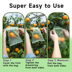 SmileLucky bag on apple tree demonstrating secure protection and easy use