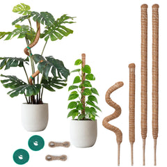Snuvid front packaging showing four moss poles and ties, promotes easy setup