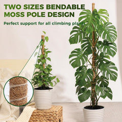 Snuvid pole inserted in pot with Monstera, stabilizes climbing stems