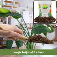 Soil Sunrise charcoal and worm castings detail adding filtration and nutrition