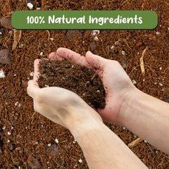 Soil Sunrise close-up of perlite, pine bark and coir for aeration