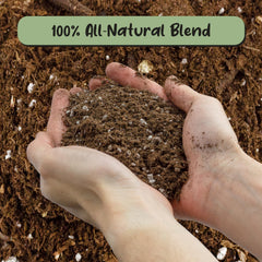 Pouring Soil Sunrise mix into pot for planting with easy handling benefit
