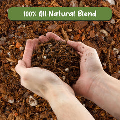 Soil Sunrise pouring mix into a pot during repotting — ensures proper root aeration