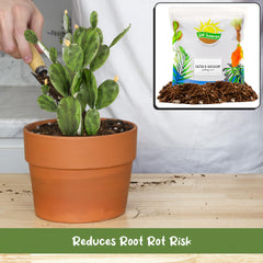 Soil Sunrise pumice and pine bark detail highlighting natural ingredients — improves structure