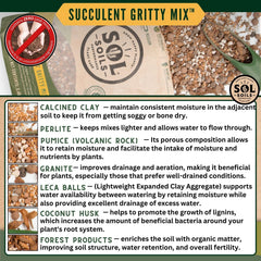 sol soils mix in pot with succulent demonstrating stable planting and fast drying
