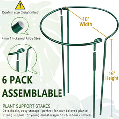 Soupiar assembled ring around a potted plant providing neat stem support