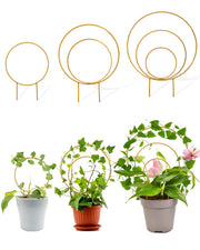 sousac gold trellis front view showing circular support and polished finish