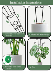 sousac trellis installed in pot with pothos demonstrating vertical training and space-saving