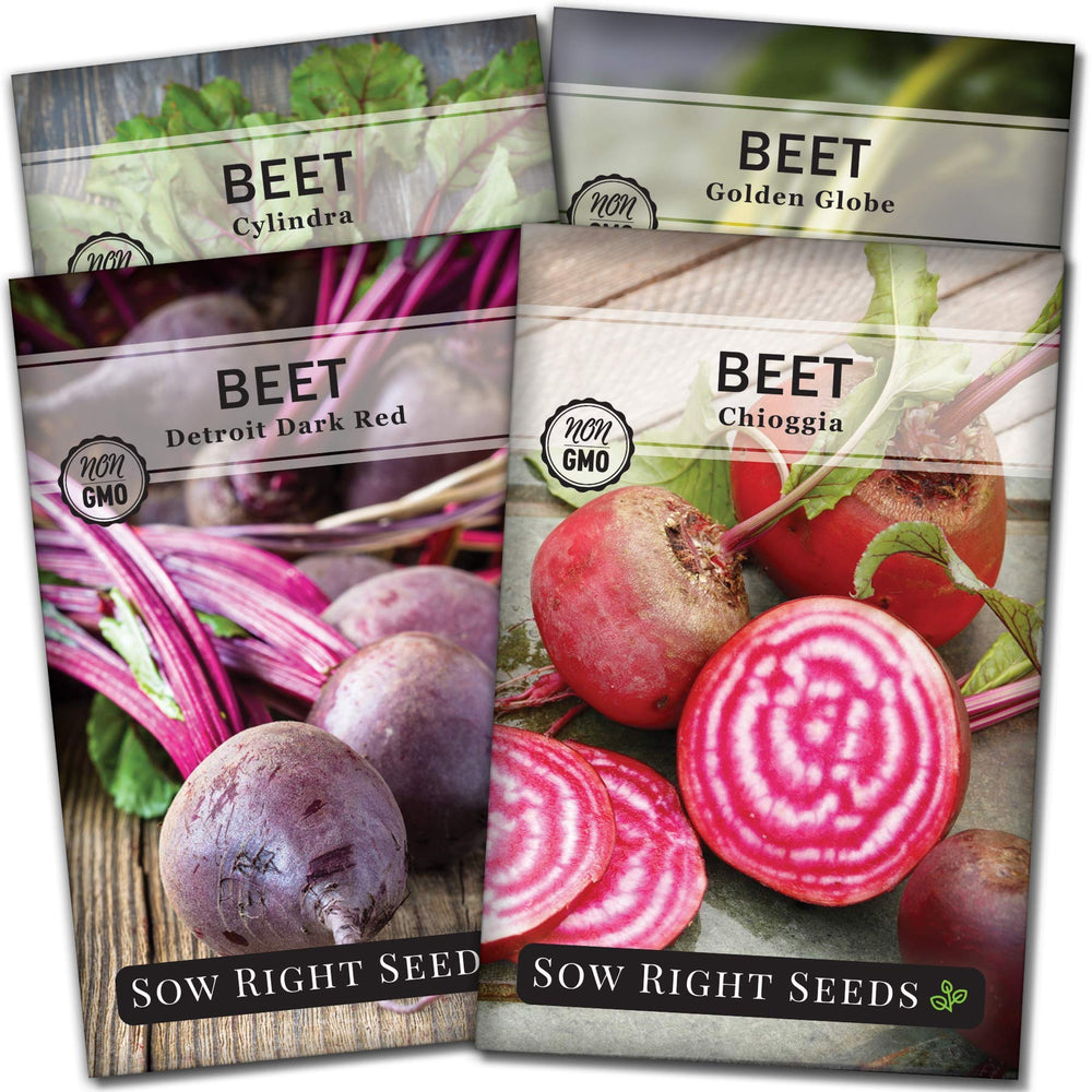 Sow Right Seeds seed pack front showing four beet varieties and clear instructions