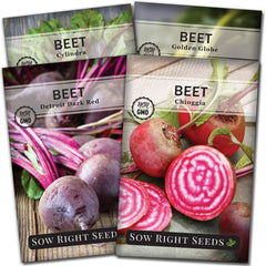 Sow Right Seeds seed pack front showing four beet varieties and clear instructions