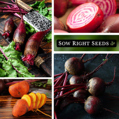Sow Right Seeds labeled variety packets side-by-side illustrating visual differences