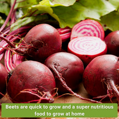 Sow Right Seeds beets growing in garden bed demonstrating healthy crop benefit