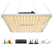 Spider Farmer SF1000 front view showing compact full-spectrum fixture for efficient tent lighting