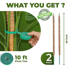 Sproot close-up of coco coir texture highlighting moisture retention and root grip