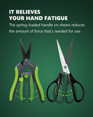STAYGROW blade close-up highlighting stainless steel sharpness for clean cuts