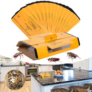 Stingmon front packaging showing 24-pack and product benefits