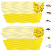 Stingmon front packaging showing 60-pack and double-sided cards benefit quick identification