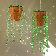 Suncalla front packaging showing two beaded succulent suncatchers and product benefits