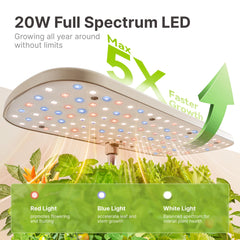 SUNCOZE visible 4L water tank and pump for easy monitoring