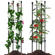 SupKing front view of two assembled cages showing sturdy support