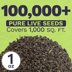 SWEET YARDS bicolored coreopsis petal detail highlighting vivid yellow and deep red contrast