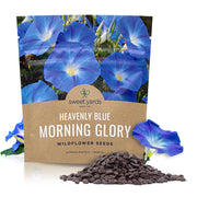 SWEET YARDS front packet showing Heavenly Blue seeds and attractive packaging benefit storage