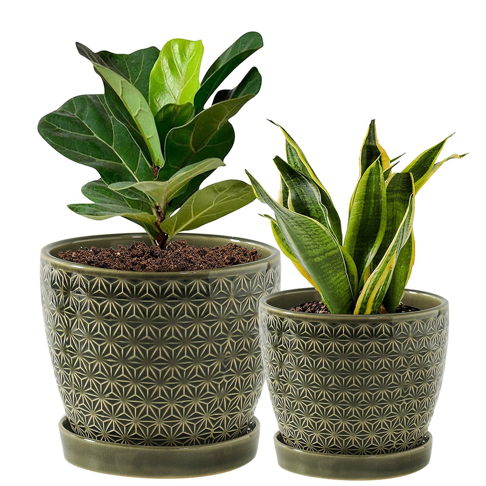 Swkien front view two-pack showing matching green finish and balanced design